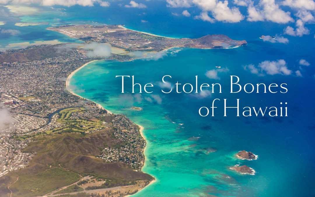 Thousands of bodies dug up in Hawaii still awaiting reburial