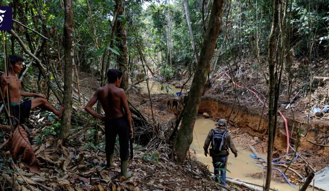 Gold diggers against Yanomami: Increasing violence against jungle indigenous people – time.news