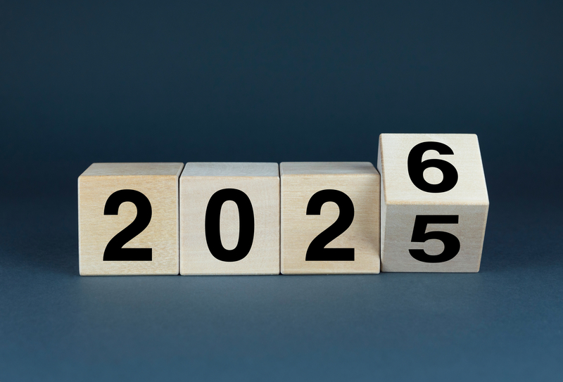 Health Equity in the United States: 2025 Year in Review