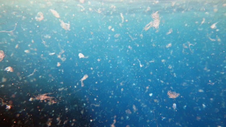 Microplastics in Water Fyh.news