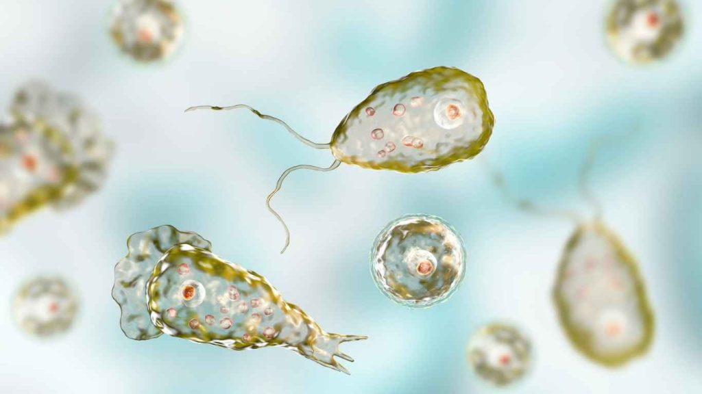 Brain-Eating Amoeba Infection Leaves North Carolina Teen Critical